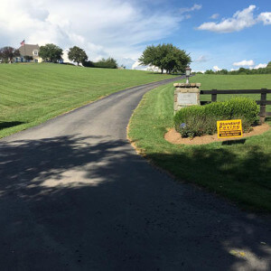 Commercial Chip seal Paving